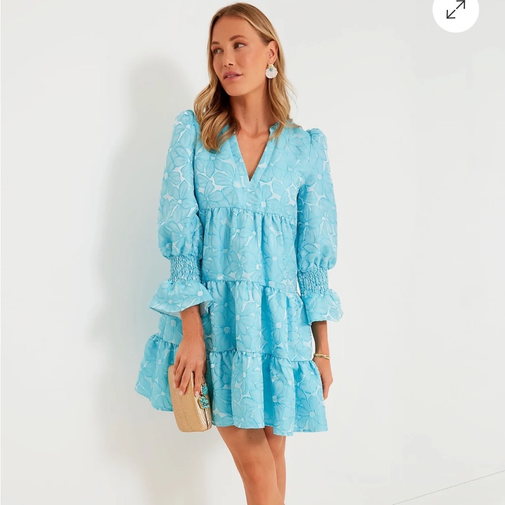 Tuckernuck Pomander Place Dress